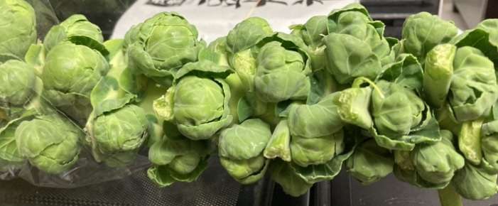 年末年始の我が家の情景を貼るトピ