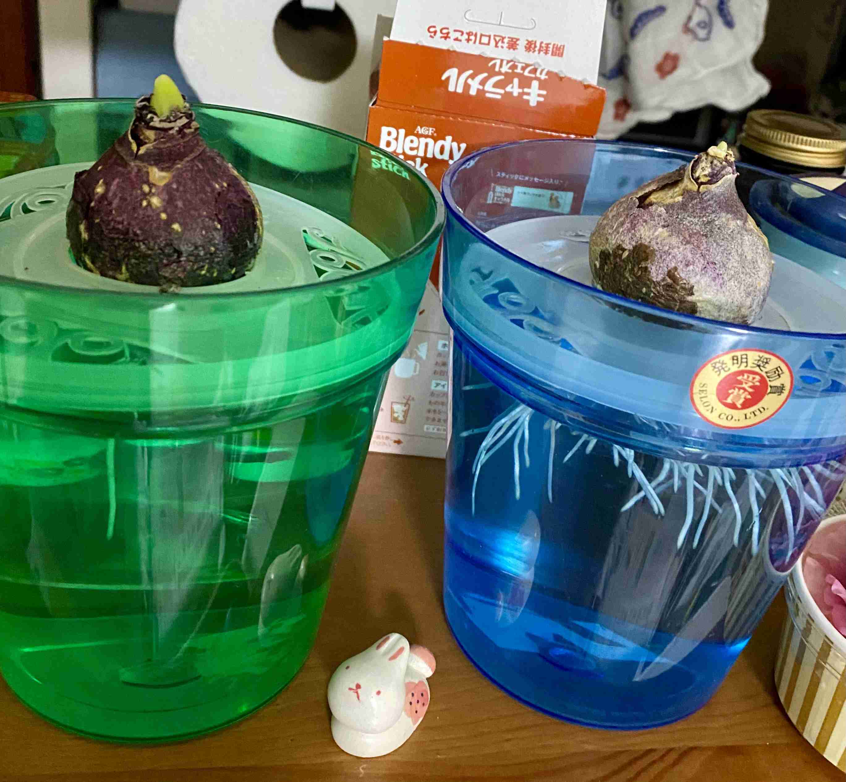 年末年始の我が家の情景を貼るトピ