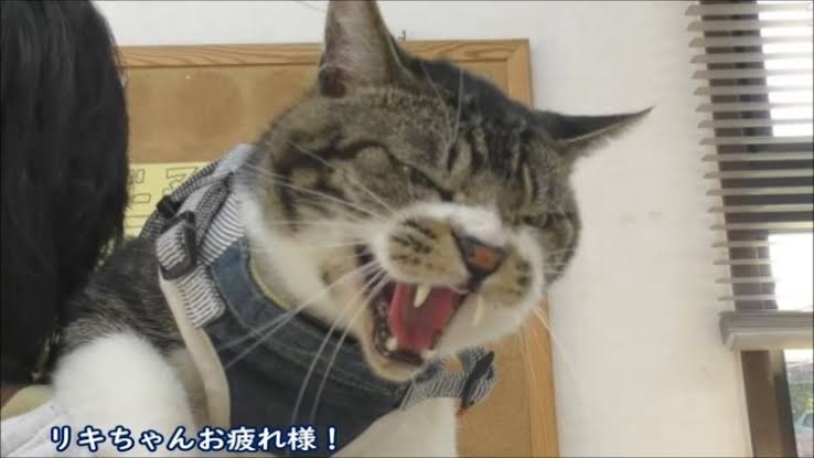 最近知ってびっくりしたこと
