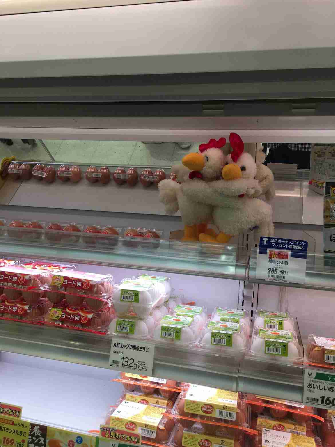 一瞬だけでも嫌なことを忘れられそうな画像を貼るトピ