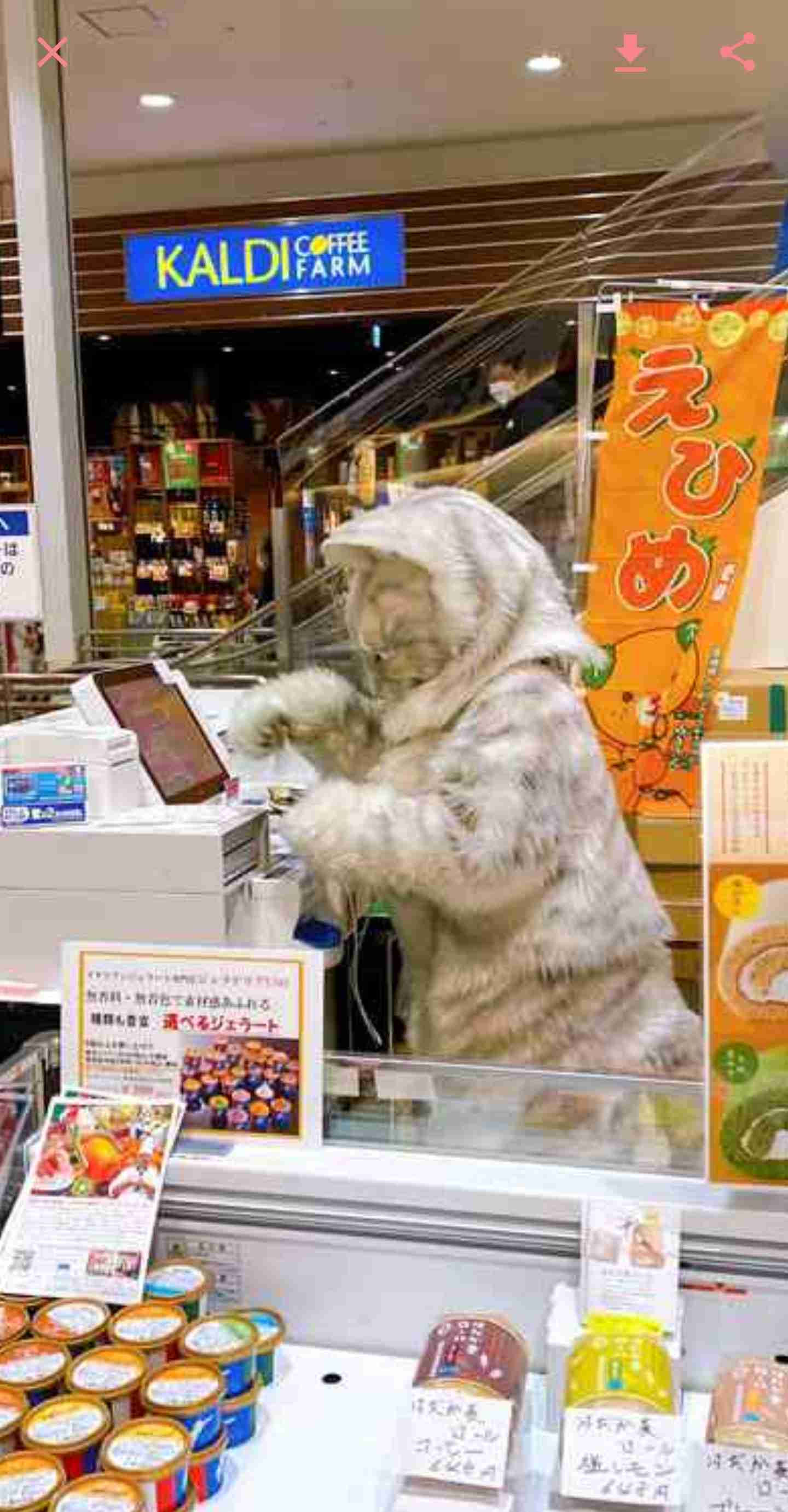 一瞬だけでも嫌なことを忘れられそうな画像を貼るトピ