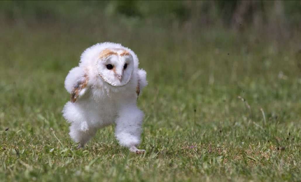 一瞬だけでも嫌なことを忘れられそうな画像を貼るトピ