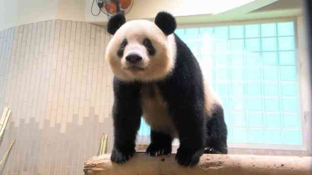 一瞬だけでも嫌なことを忘れられそうな画像を貼るトピ