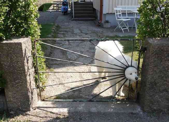 一瞬だけでも嫌なことを忘れられそうな画像を貼るトピ