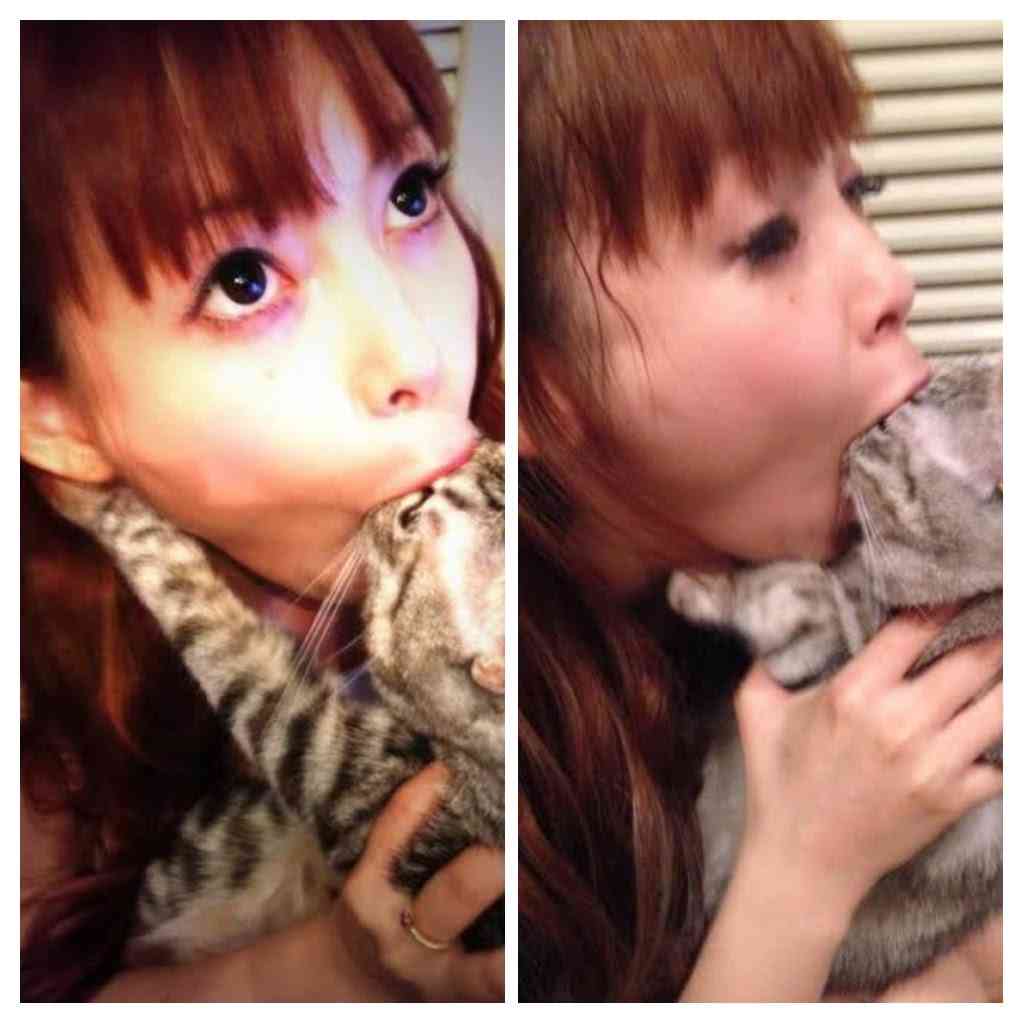 一瞬だけでも嫌なことを忘れられそうな画像を貼るトピ