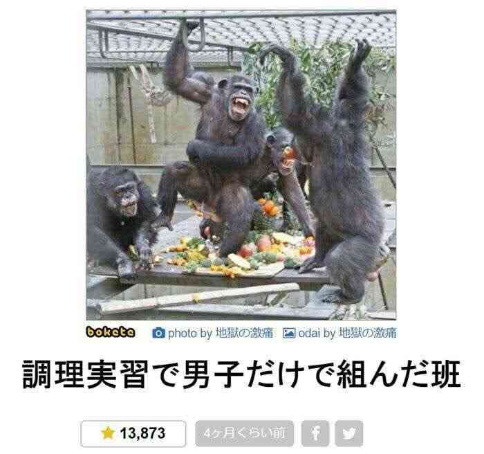 一瞬だけでも嫌なことを忘れられそうな画像を貼るトピ