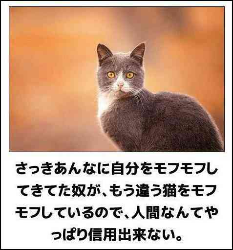 自分の性格が悪くなっている気がして怖い人