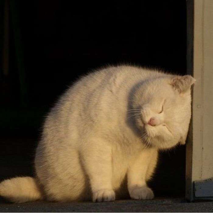 睡眠不足の時の症状