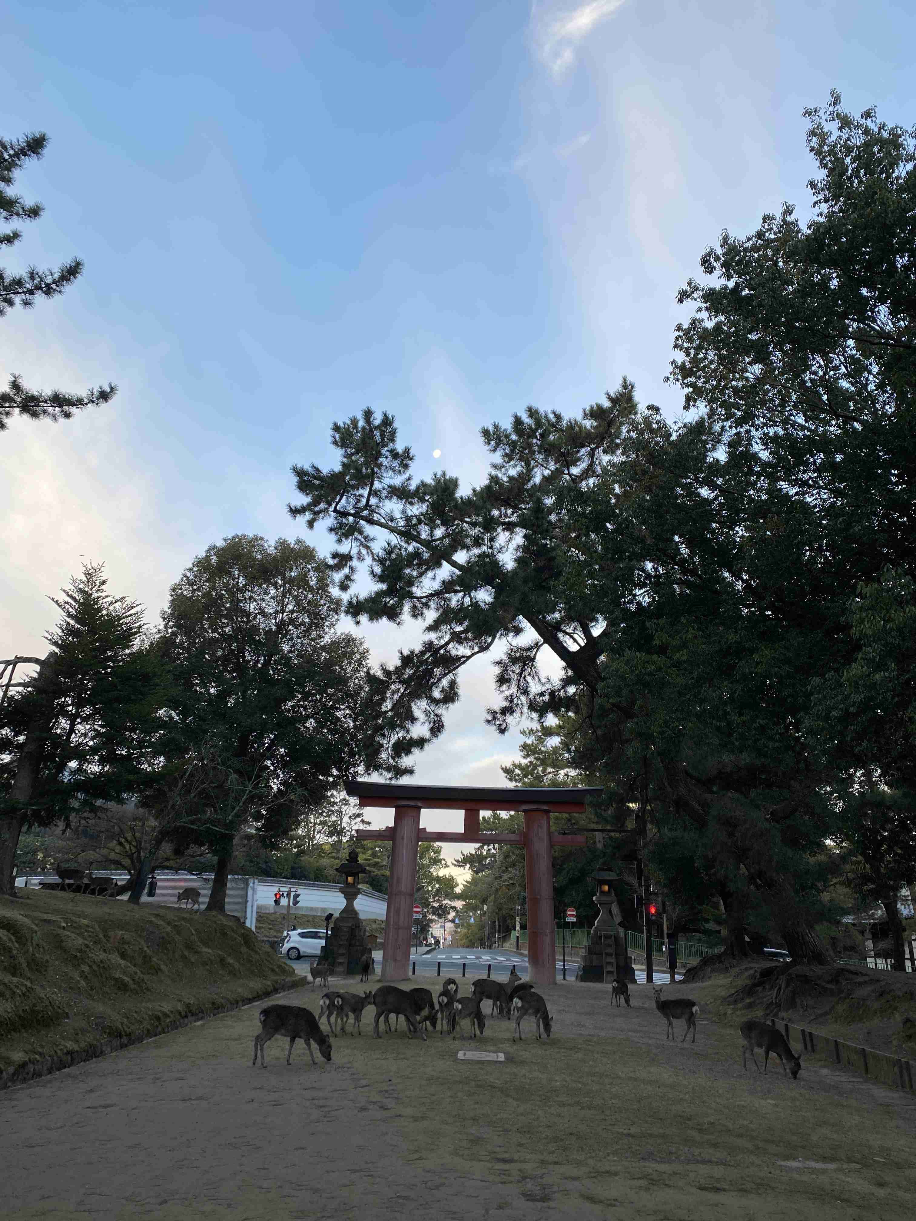 奈良県のオススメ教えて