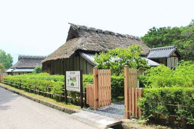 奈良県のオススメ教えて