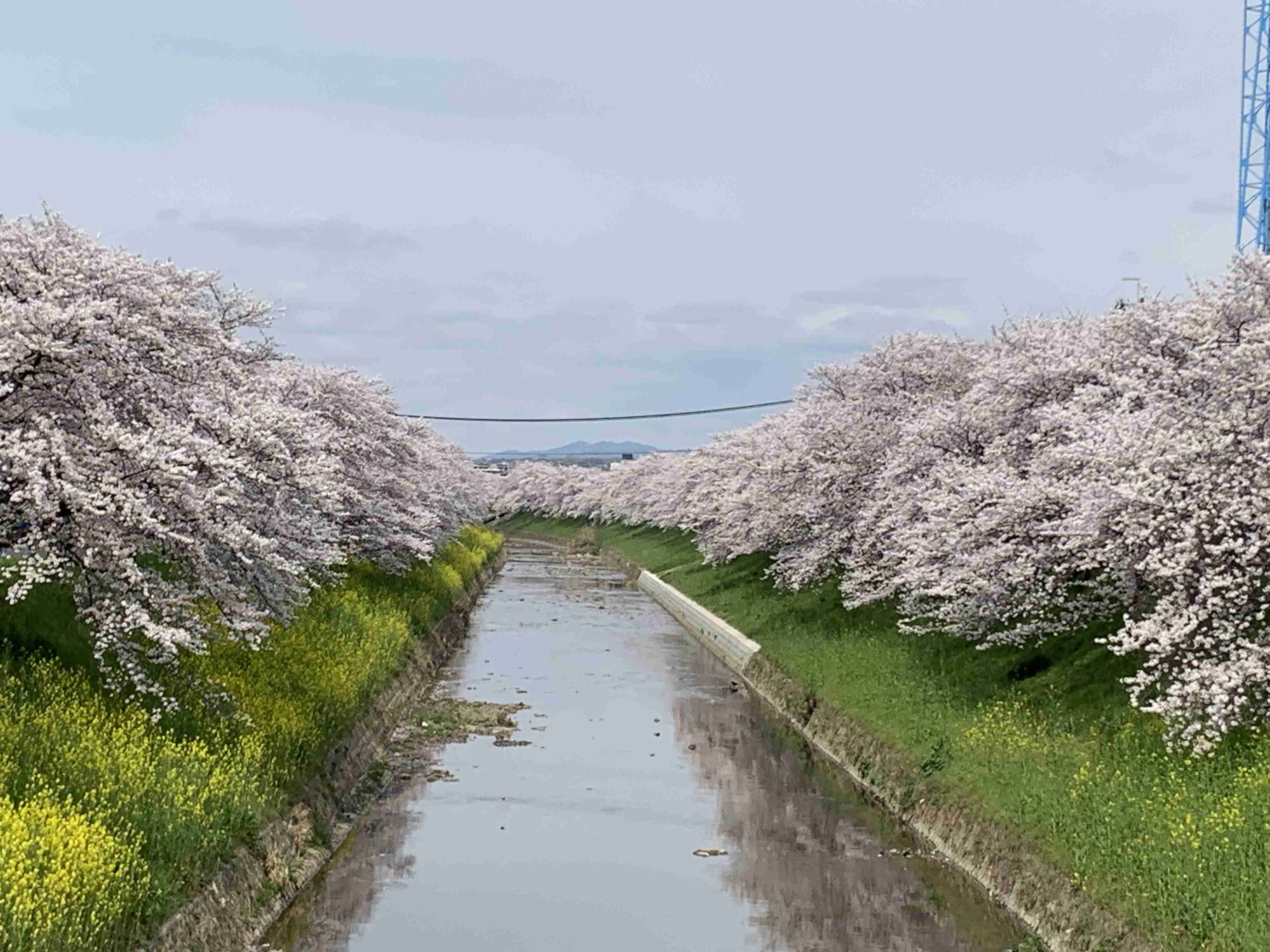 奈良県のオススメ教えて