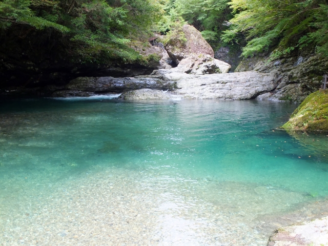 奈良県のオススメ教えて