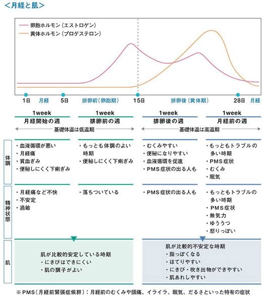ホルモンバランスによる肌荒れ