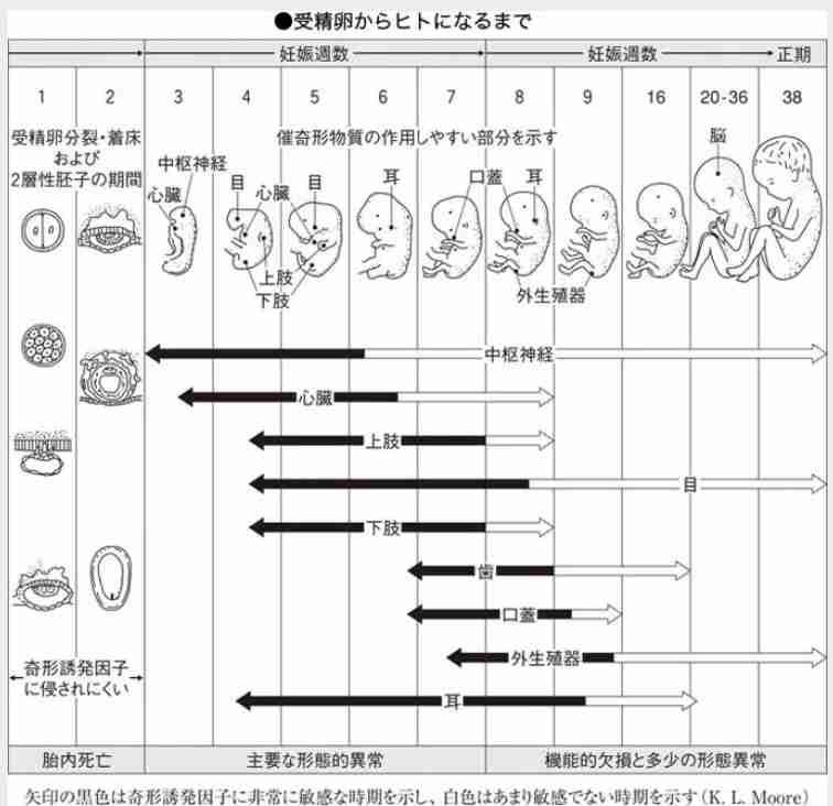 妊娠初期の方、語りませんか？Part41