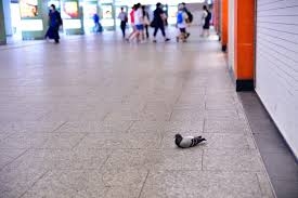 新宿駅あるある