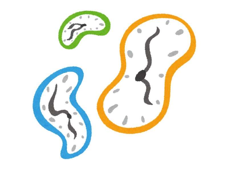 若い頃に戻りたいと思わない