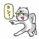 【主は】ヘアアイロン毎日使っている方!【修行中】