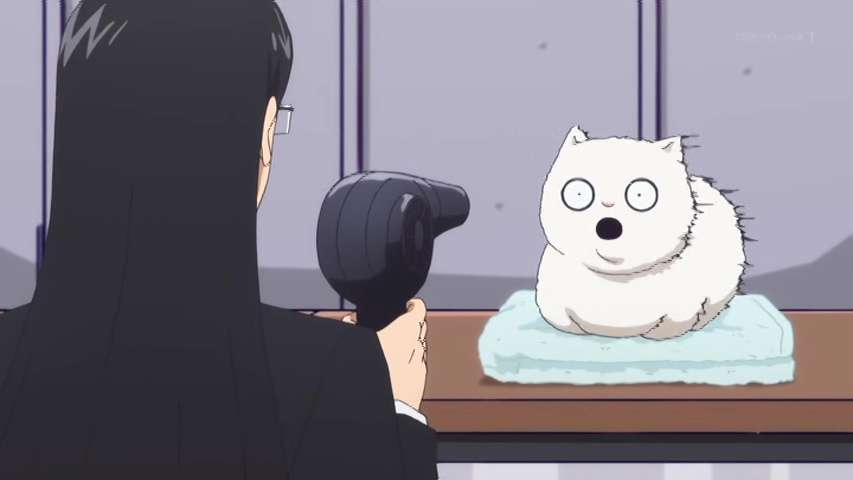 【猫の日】猫の2次元キャラクター