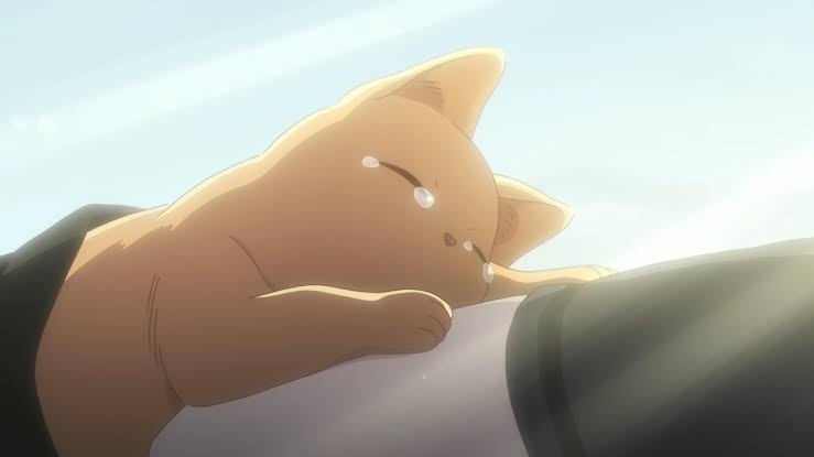【猫の日】猫の2次元キャラクター