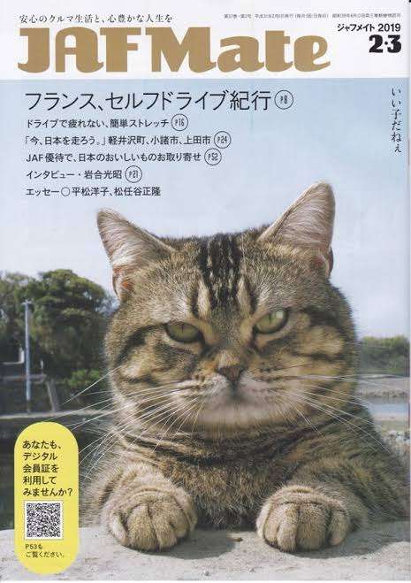 【猫の日】猫の2次元キャラクター
