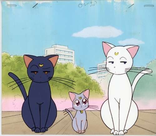 【猫の日】猫の2次元キャラクター