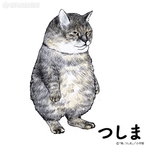 【猫の日】猫の2次元キャラクター