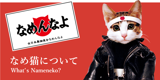 高校の時流行ってたことで年齢当てましょ