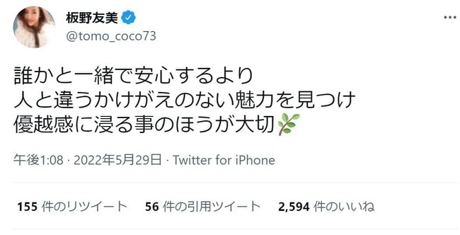 板野友美に