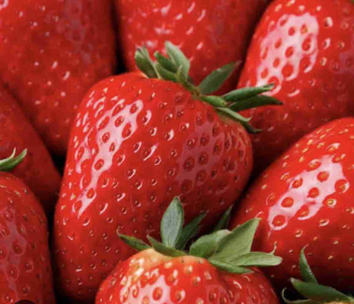 好きないちごの銘柄教えて！