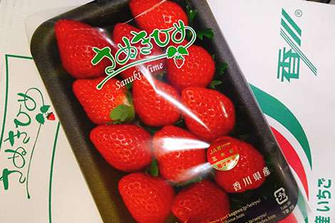 好きないちごの銘柄教えて！