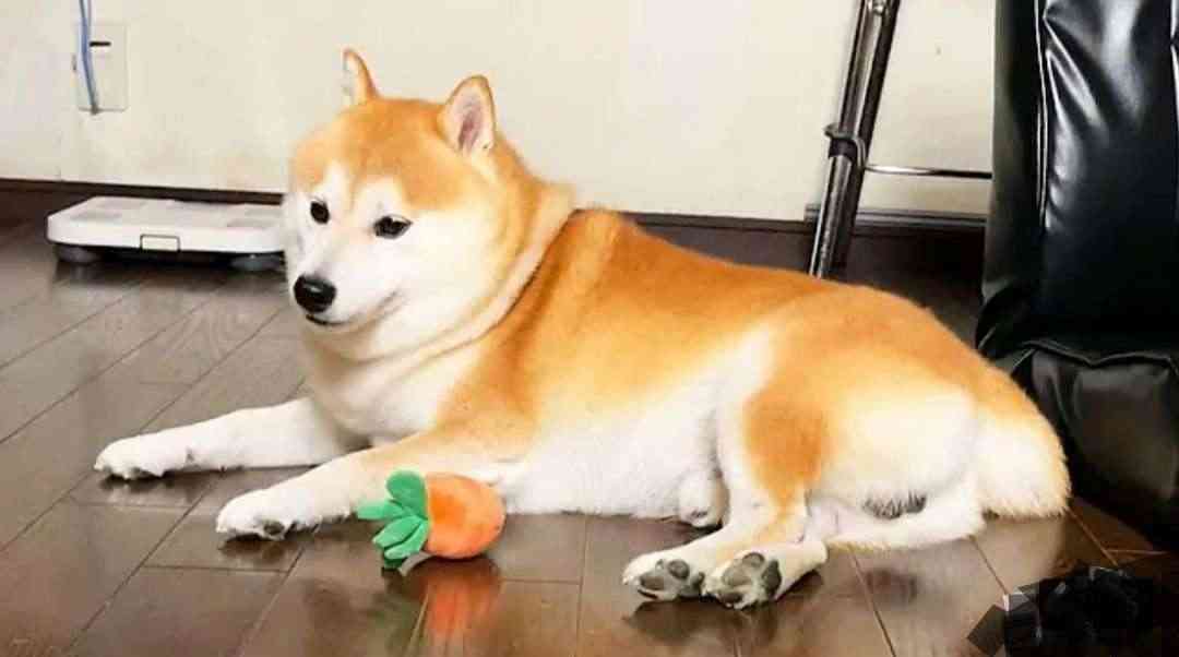 王になるトピ パート2
