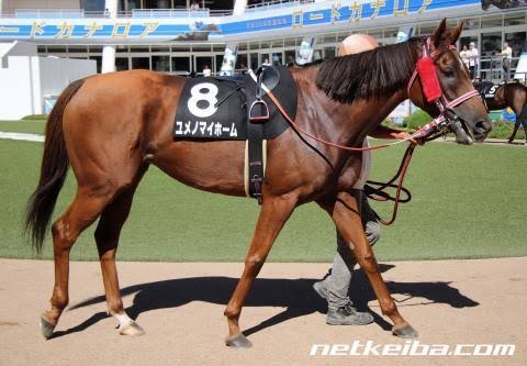手取り32万円、40歳・大卒サラリーマン「念願叶って家を建てました」浮かれ気分も70代で撃沈する「住宅ローン返済額」