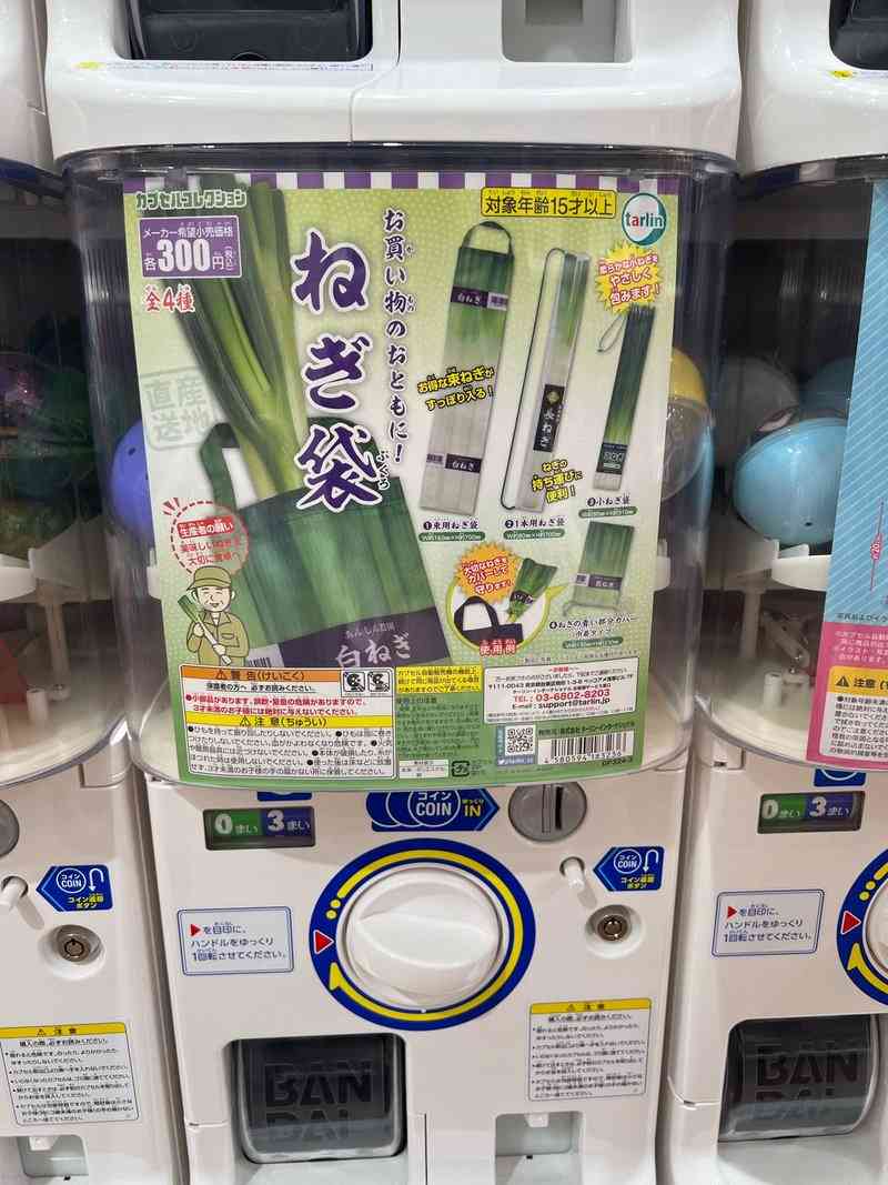 【実用品】使う予定はないのに可愛いという理由で買ったもの