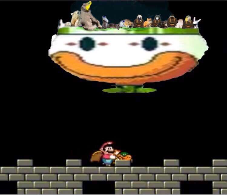 鳥インフルで少女死亡=「全ての国、警戒高めよ」―WHO