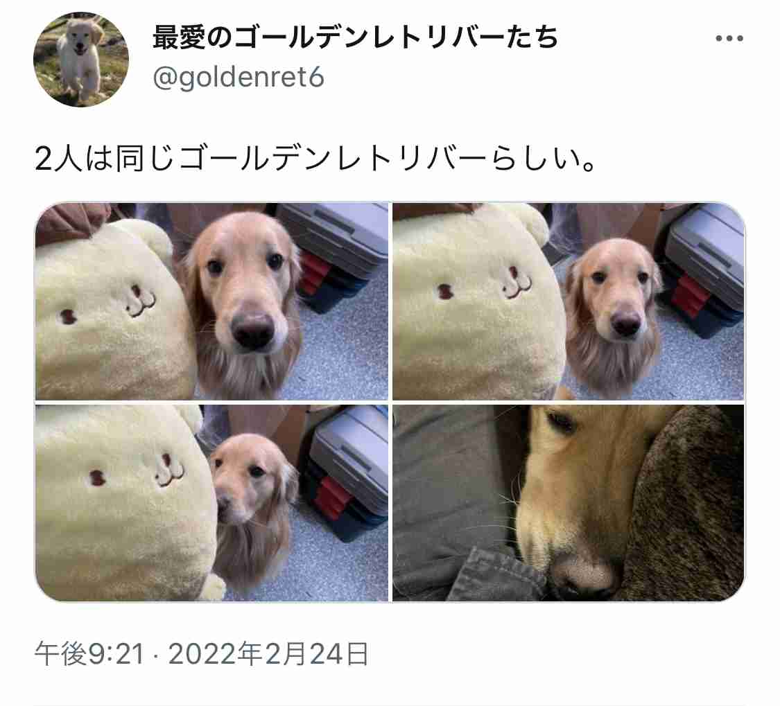 【サンリオ】ポムポムプリンを語ろう