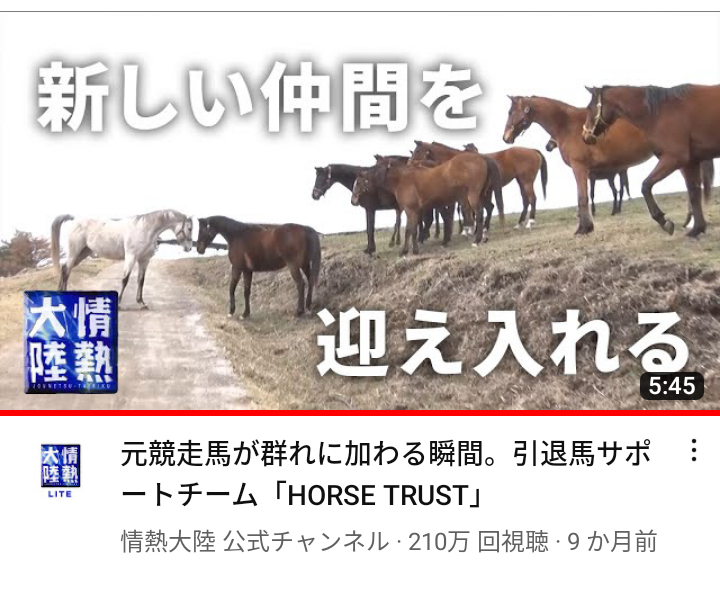 【競馬】UMAJO集まれ！ part 22【アンチ厳禁】
