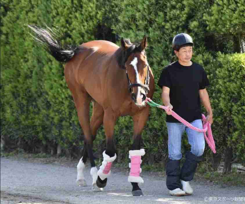 【競馬】UMAJO集まれ！ part 22【アンチ厳禁】
