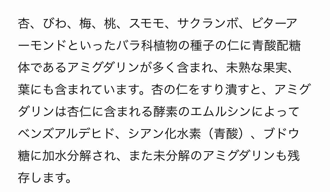 「ビワの種の粉末は食べないように」農水省が注意喚起…根拠不十分な“がんに効果”情報が拡散?理由を聞いた
