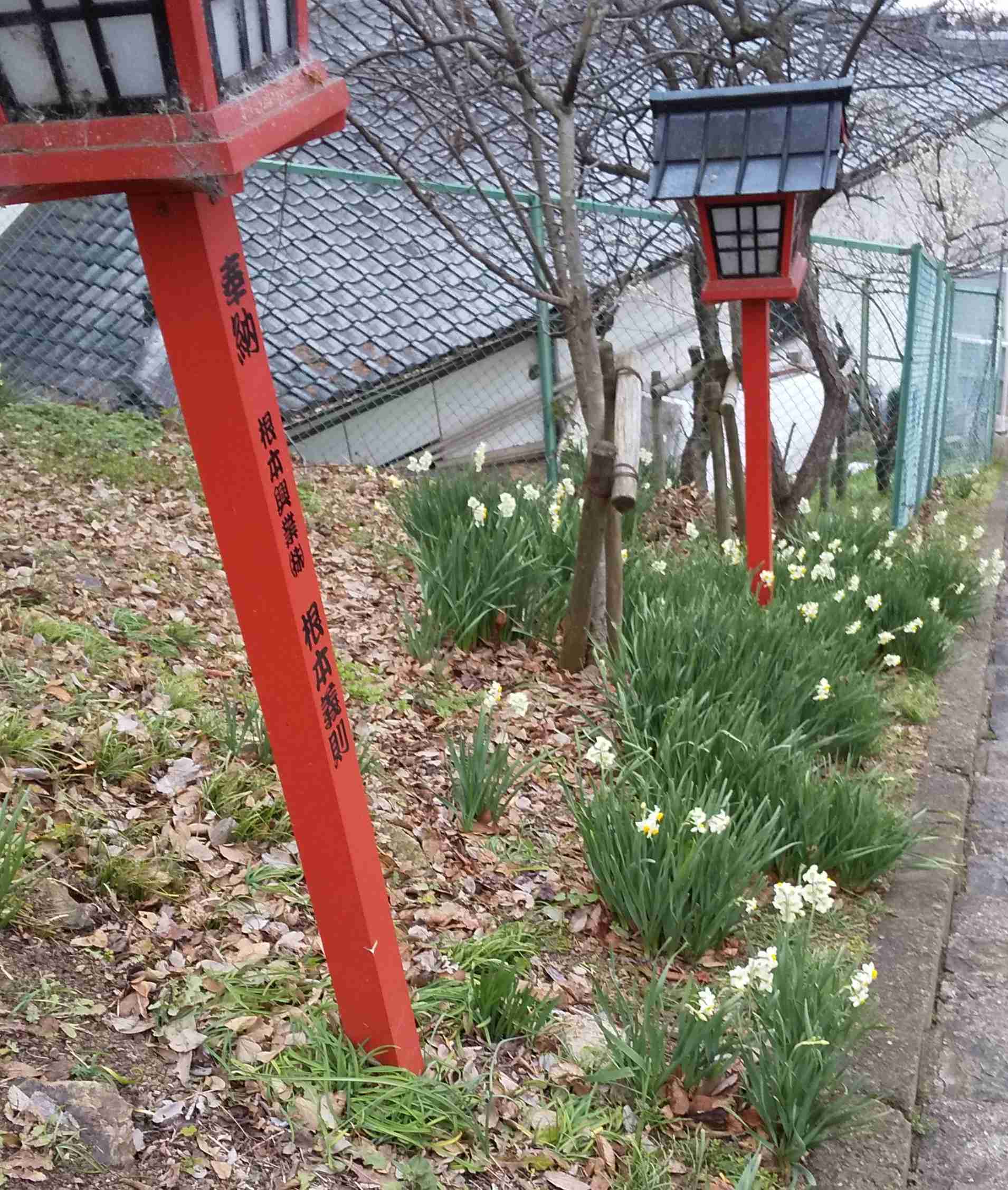 必ず数字を入れて雑談するトピ
