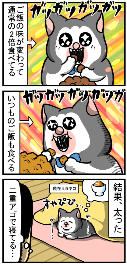 食い意地がすごいペット、なぜ？？【犬猫鳥兎等】