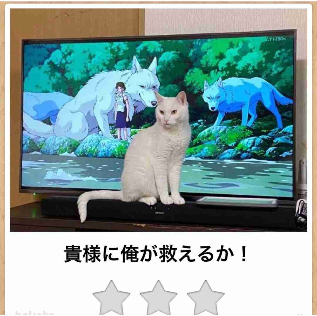 白い動物を貼っていくトピ