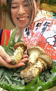 【アダルト】セックスって重要?