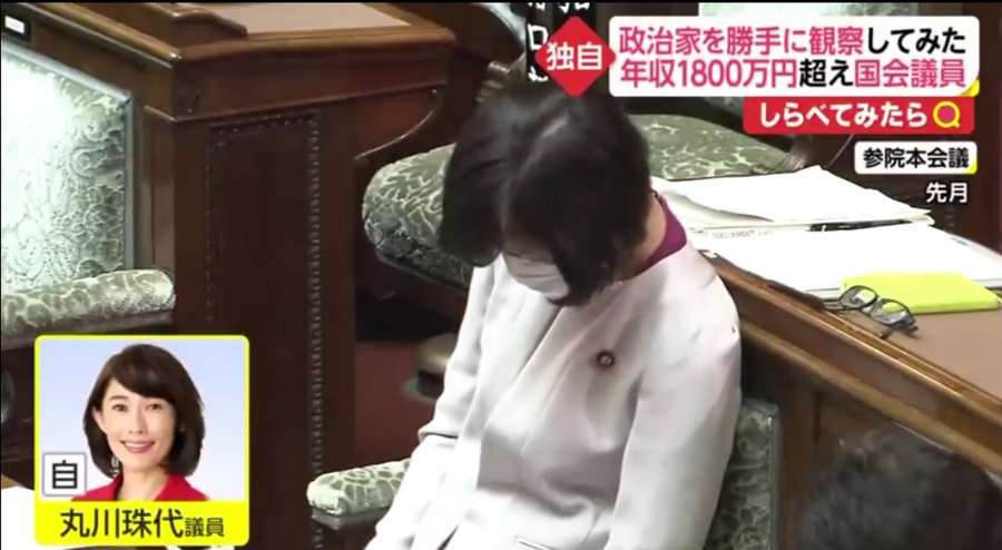 「愚か者めが」丸川議員　過去発言が波紋…児童手当“所得制限撤廃”　与野党で大論戦