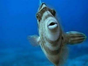 勘違い男の言動