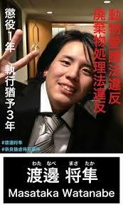 猫の“死骸”が小学校の鉄棒に　近くの公園でも切断された足が　さいたま市