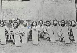 猫の“死骸”が小学校の鉄棒に 近くの公園でも切断された足が さいたま市