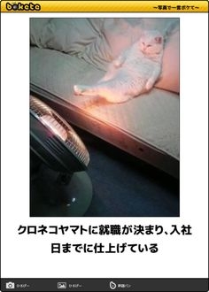 仕事でミスをしないようにするコツ