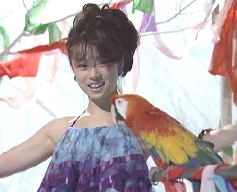80年代の女性アイドルの好きな曲
