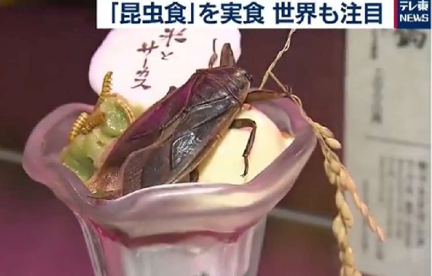「昆虫食」市場急拡大も...根強い拒否反応　なぜ受け入れられない？識者に聞いた理由と打開策