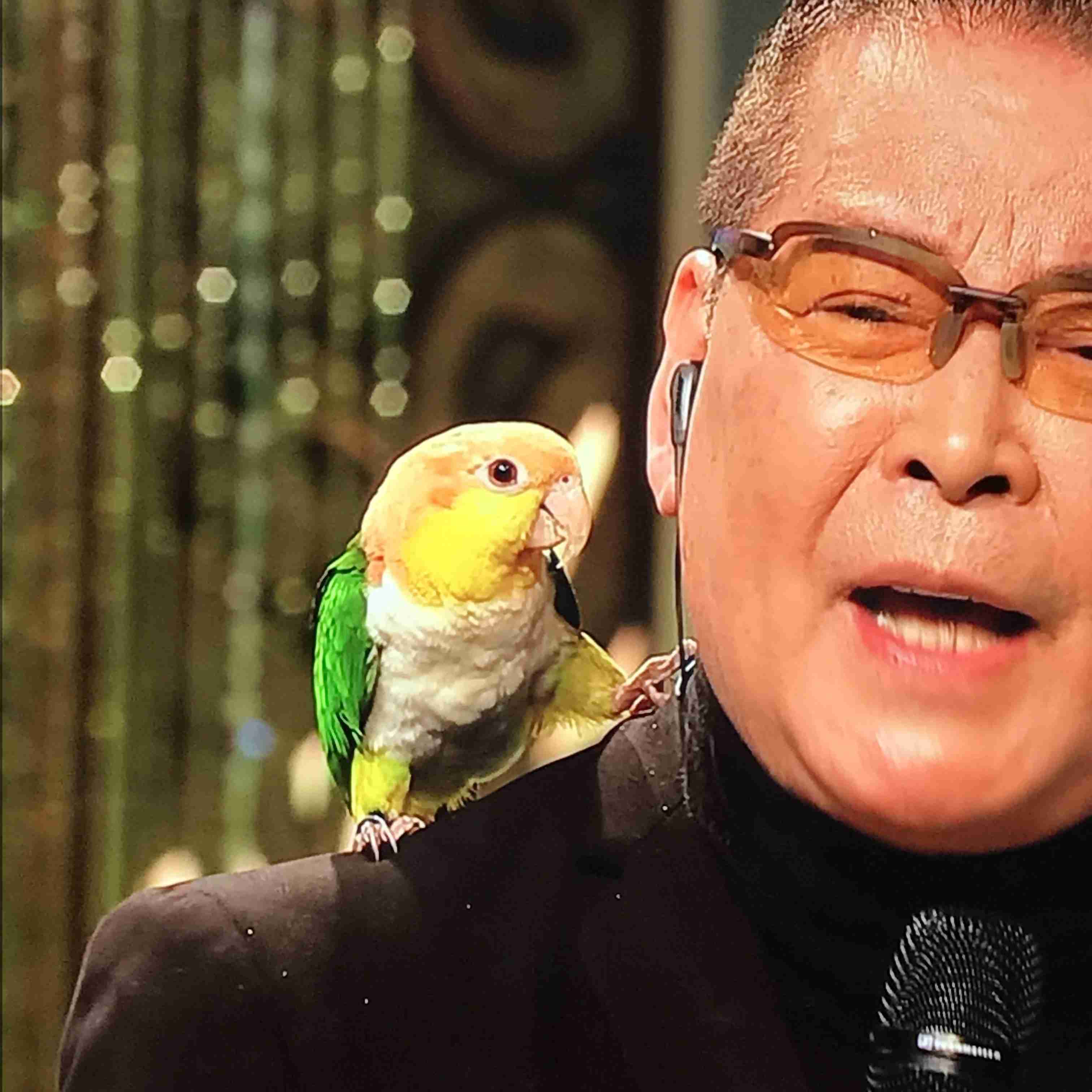 【実況・感想】昭和vs令和！世代を超えて愛される最強ヒット曲５０連発